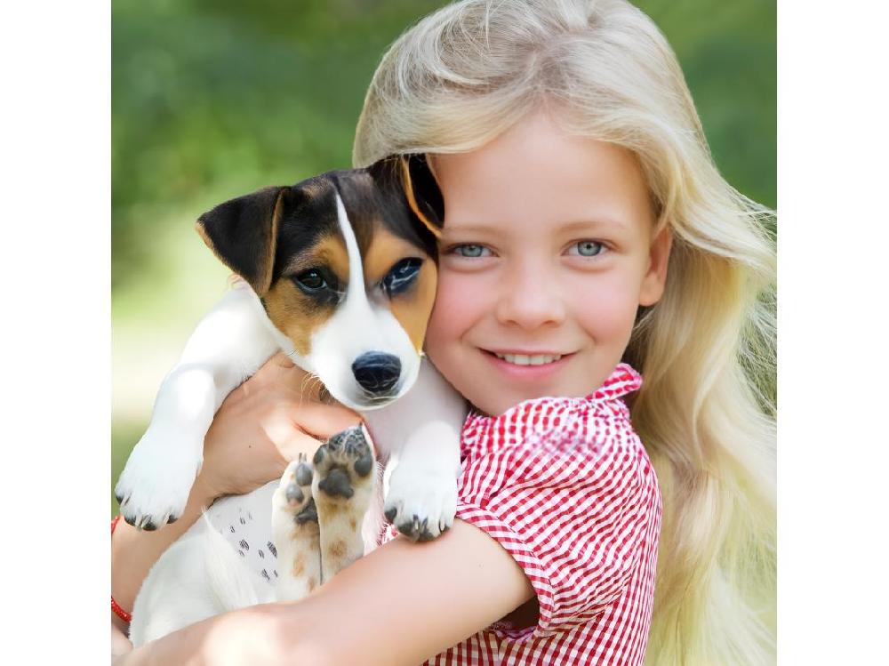 Vente Unique Niche Chien En Bois Moderne De Haute Qualite BELLA 222 Taille L 86 X 102 X 94 Cm