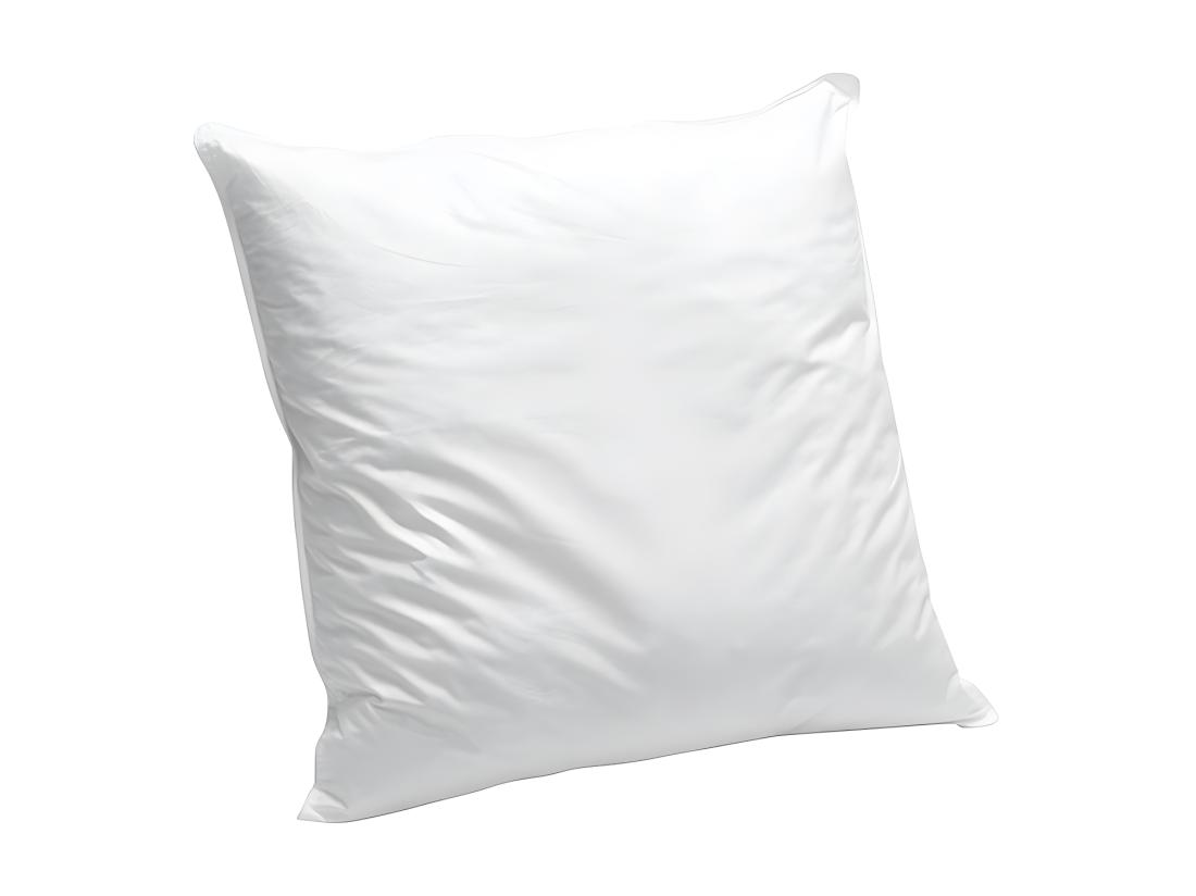 Vente Unique Oreiller En Coton Bio 60 X 60 Cm De NATUREA - 550gr/m2- Blanc- NATURE CONFORT