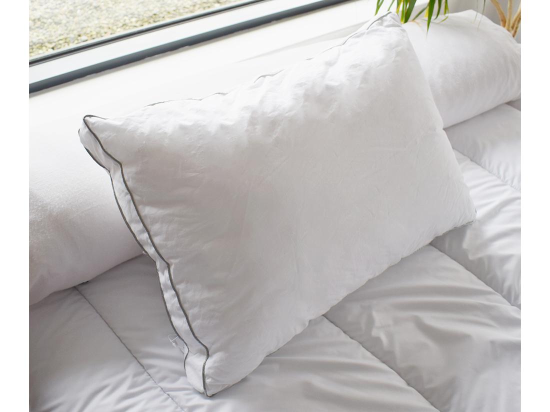 vente unique Oreiller sensation duvet en percale de coton 91 fils/cm² - 50 x 70 cm - 700 gr - Blanc - AUXENCE