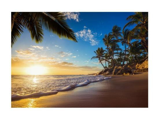 vente unique Papier Peint "Tropical Beach" 175 x 250 cm