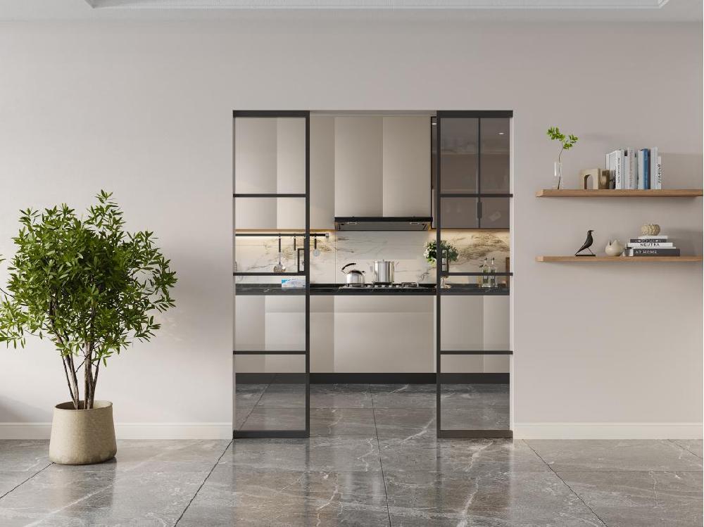 Vente Unique Porte Coulissante Double Avec Système à Galandage - Aluminium Et Verre Trempé Transparent - 2 X H205 X L73 Cm - SINCA II