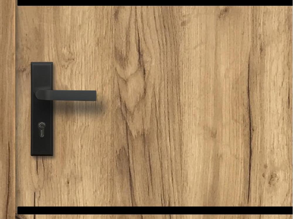 Vente Unique Porte D'entrée En Acier Pleine Et Inox H207 X L100 Cm Effet Chêne - Poussant Droit - NAXARA