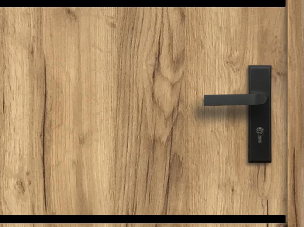 Vente Unique Porte D'entrée En Acier Pleine Et Inox H207 X L100 Cm Effet Chêne - Poussant Gauche - NAXARA