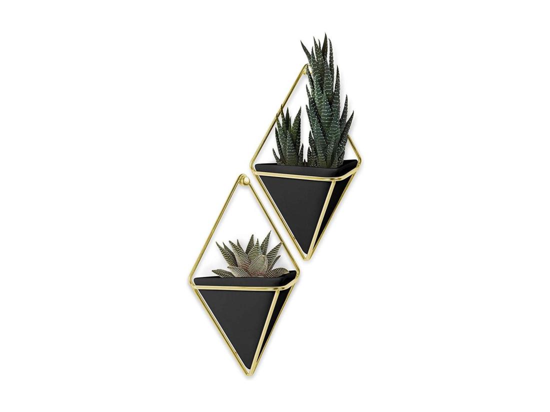 vente unique Support à plantes mural Trigg (Lot de 2)