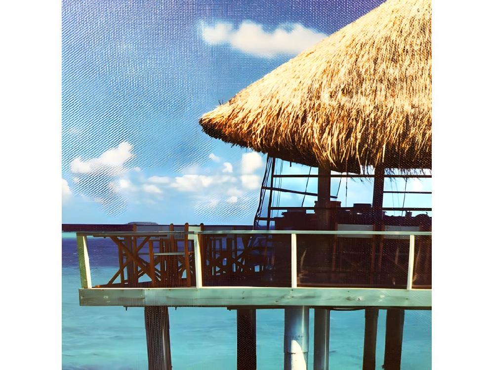 Vente Unique Tableau Imprimé Maison Sur Pilotis Et Cadre Bois Noir 60x90 Cm - BORA