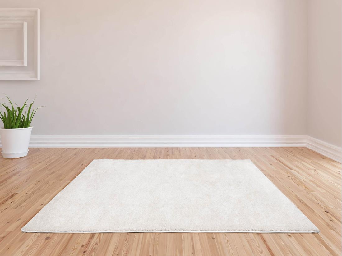 Vente Unique Tapis Shaggy à Poils Longs - 120 X 170 Cm - Blanc - MILINIO