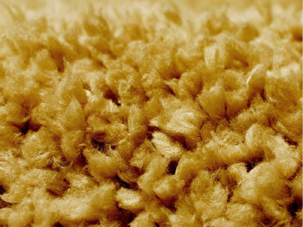 Vente Unique Tapis Shaggy à Poils Longs - 120 X 170 Cm - Jaune Moutarde - MILINIO