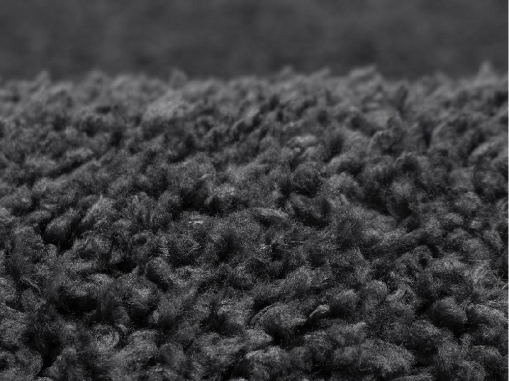 Vente Unique Tapis Shaggy à Poils Longs - 200 X 300 Cm - Anthracite - MILINIO