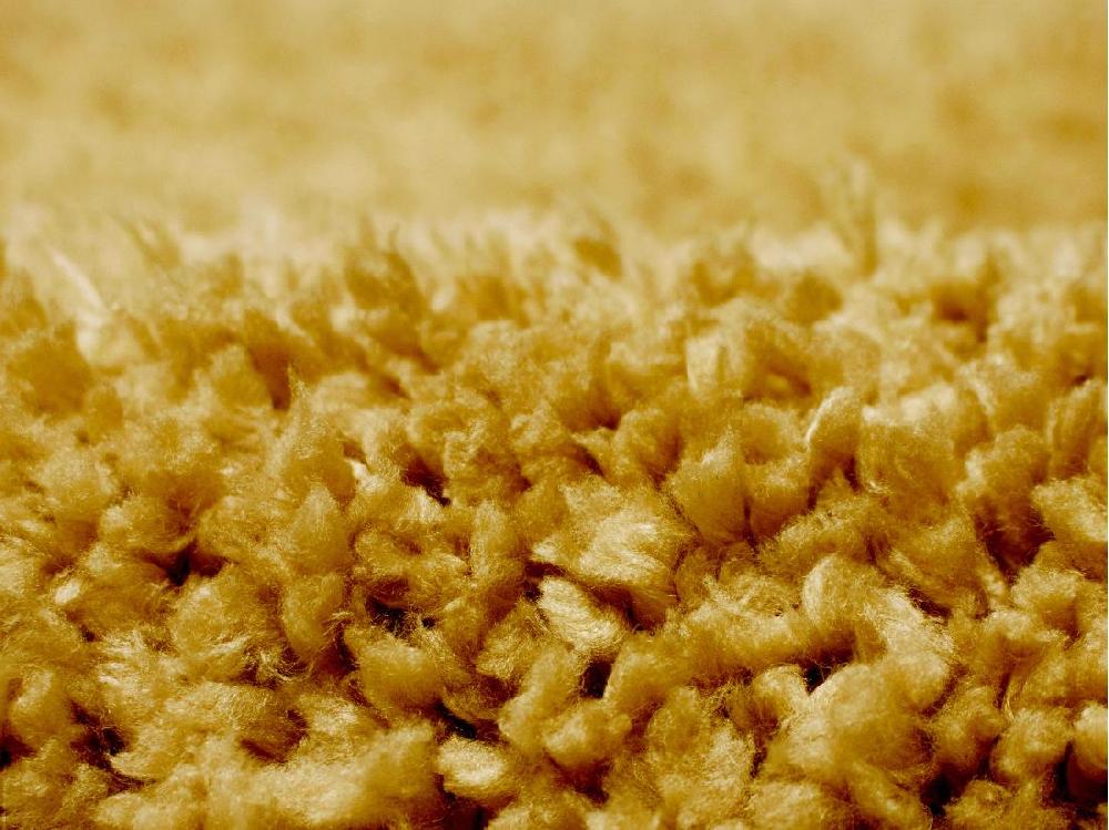 Vente Unique Tapis Shaggy à Poils Longs - 200 X 300 Cm - Jaune Moutarde - MILINIO