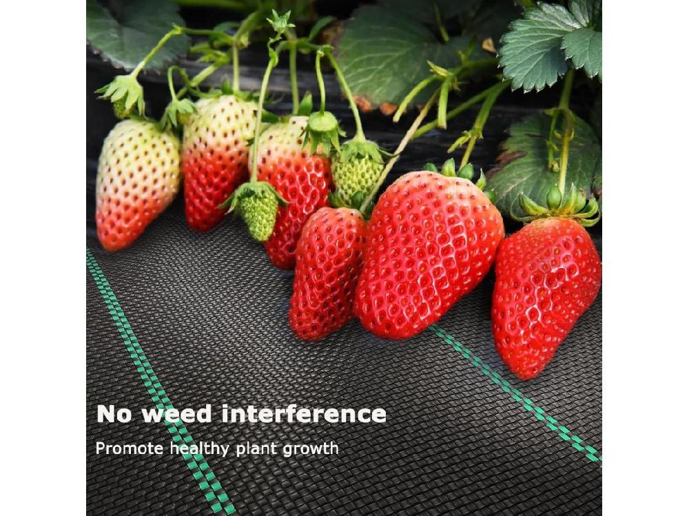 vente unique Toile de paillage contre les mauvaises herbes pour serre patios jardins - indéchirable perméable à l'eau anti UV - 2x50m