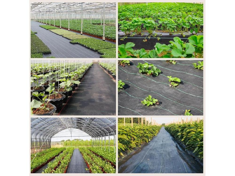 Vente Unique Toile De Paillage - Membrane Anti-mauvaises Herbes Pour Serre - Barriere Anti Racine - Tissu Perméable à L'eau - 3x25M