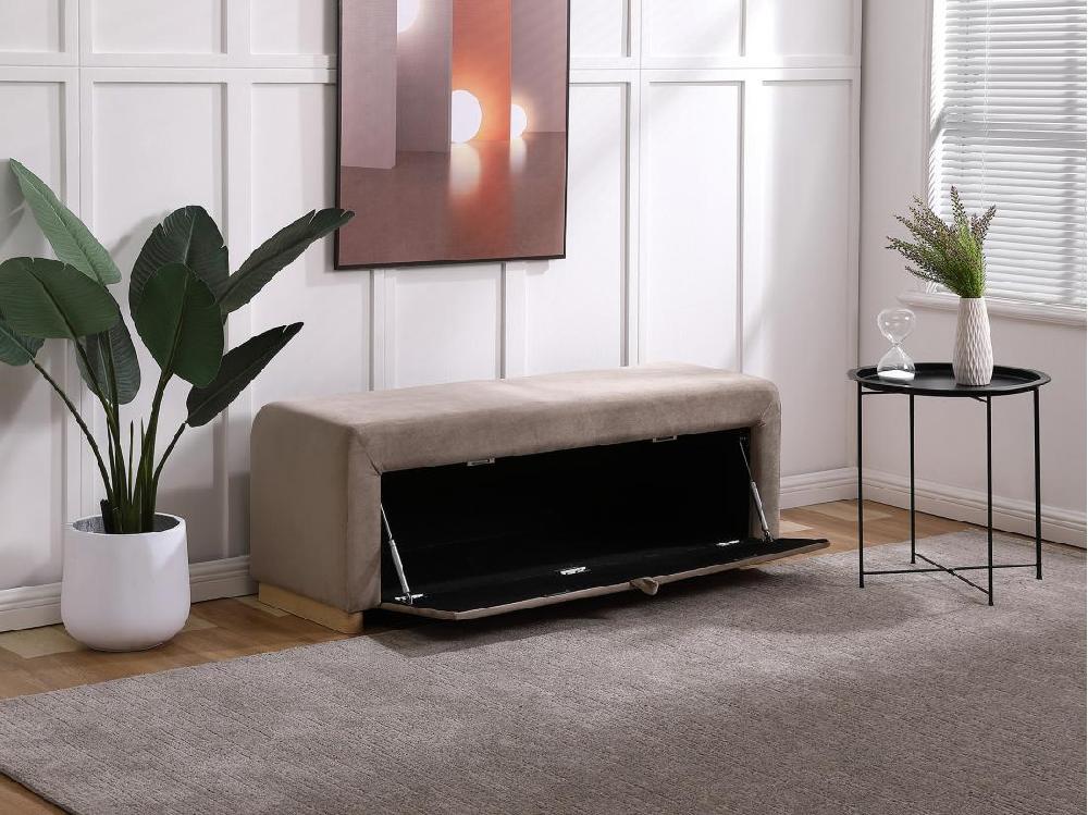 Vente Unique Banc Coffre - Velours - Taupe - CAPINO