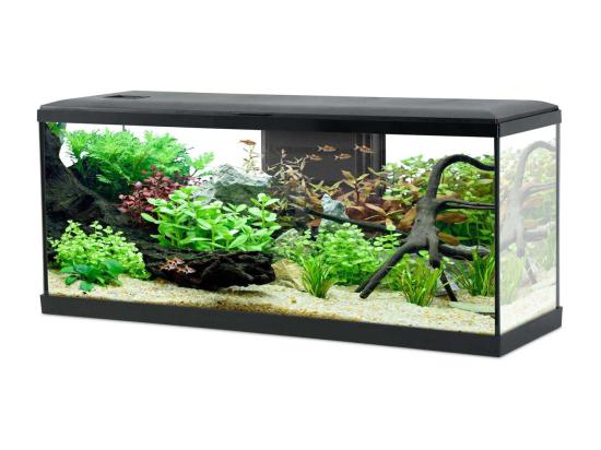 Vente Unique Kit Aquarium Tana 120L