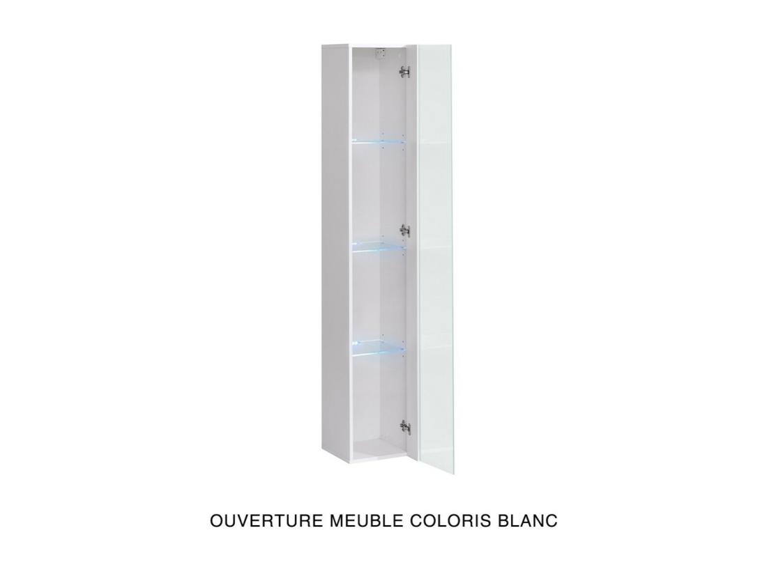 Vente Unique Vitrine Suspendue – Gris – Collection SWITCH – Porte Vitrée Et LED Inclus – Grand Modèle