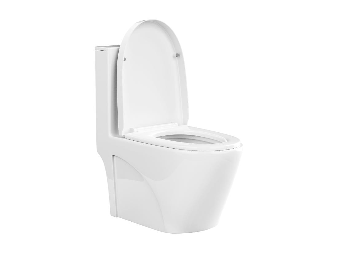 Vente Unique WC à Poser Blanc Brillant En Céramique - Evacuation Horizontale - NAGILAM