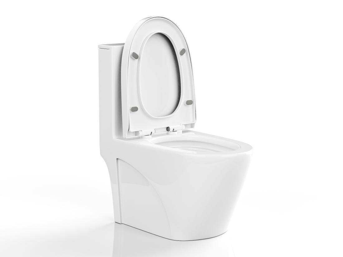 Vente Unique WC à Poser Blanc Brillant En Céramique - Evacuation Verticale - NAGILAM