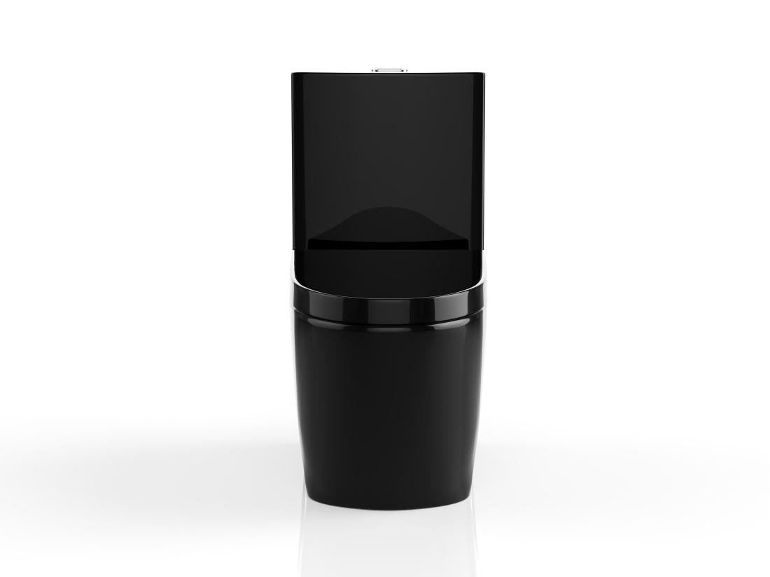 Vente Unique WC à Poser Noir Brillant En Céramique - Evacuation Verticale - NAGILAM