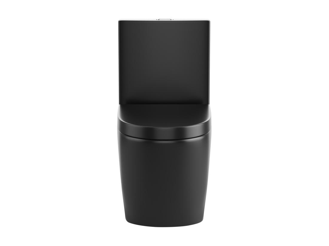 Vente Unique WC à Poser Noir Mat En Céramique - Evacuation Horizontale - NAGILAM