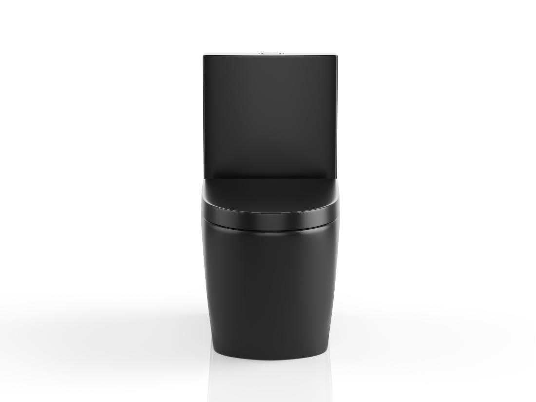 Vente Unique WC à Poser Noir Mat En Céramique - Evacuation Verticale - NAGILAM