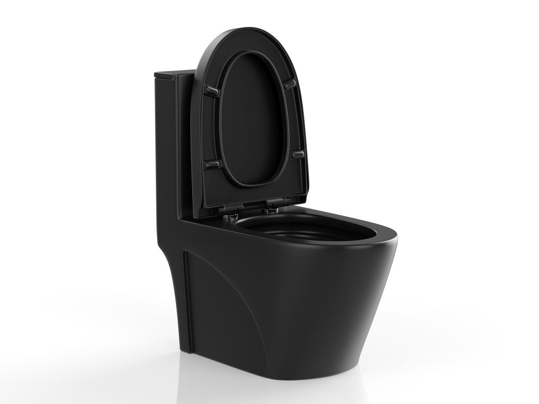 Vente Unique WC à Poser Noir Mat En Céramique - Evacuation Verticale - NAGILAM