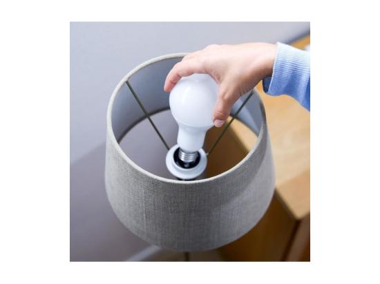 Vente Unique WiZ Ampoule Connectee Blanc Variable E27 100W