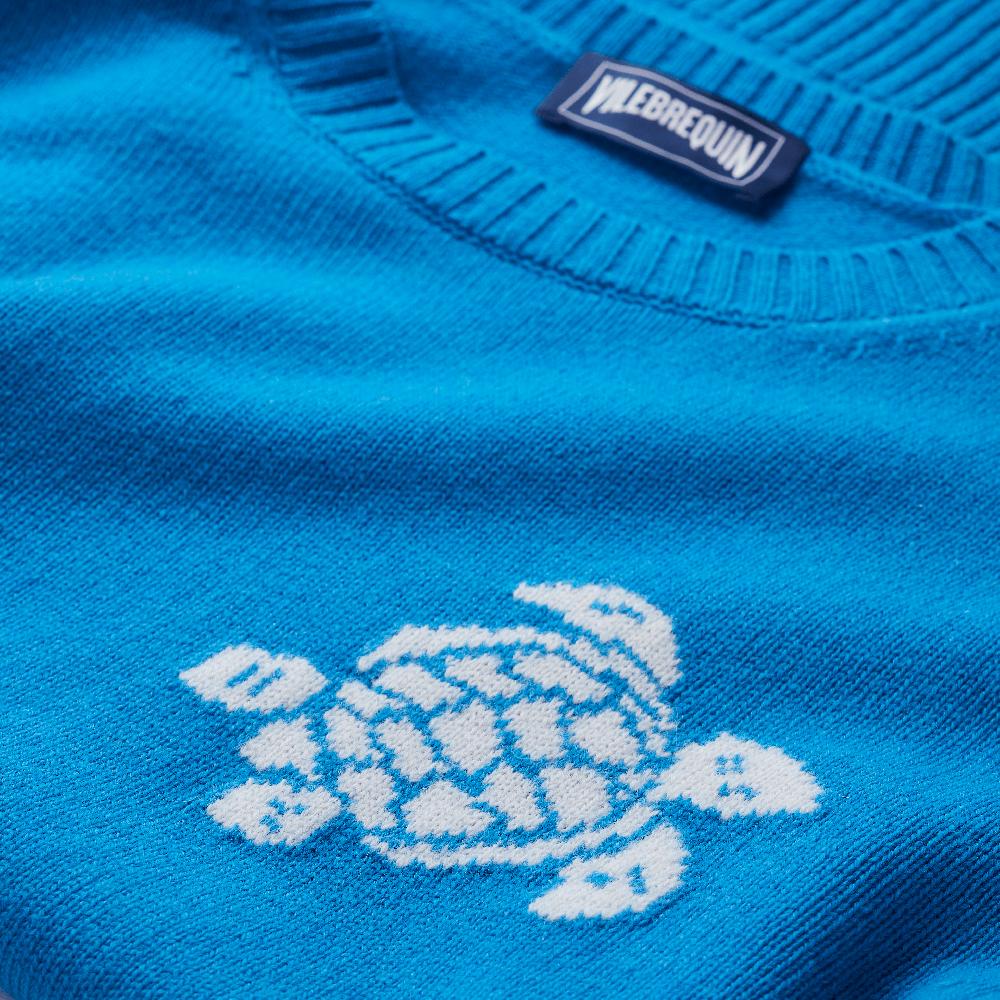 Vilebrequin Pullover En Laine Et Cachemire Homme Tortue