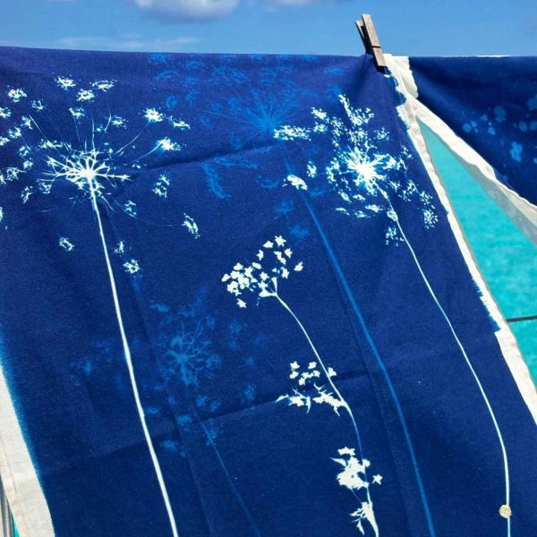 Vivaraise Torchon Fleurs De Carotte Bleu 70 X 50 Cuisine