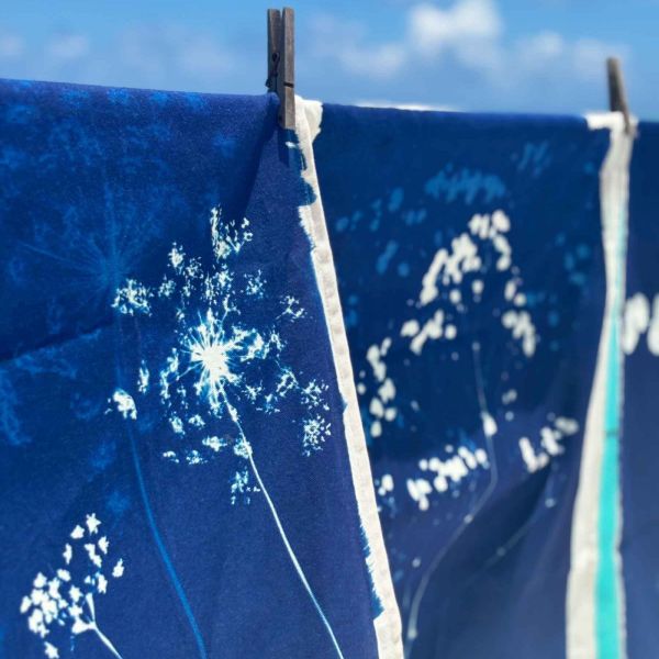 Vivaraise Torchon Fleurs De Carotte Bleu 70 X 50 Cuisine