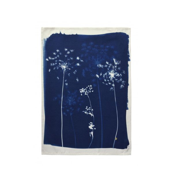 Vivaraise Torchon Fleurs de carotte Bleu 70 x 50 Cuisine