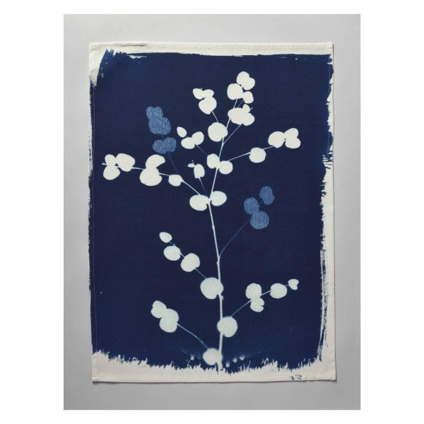 Vivaraise Torchon Eucalyptus Bleu 70 x 50 Cuisine