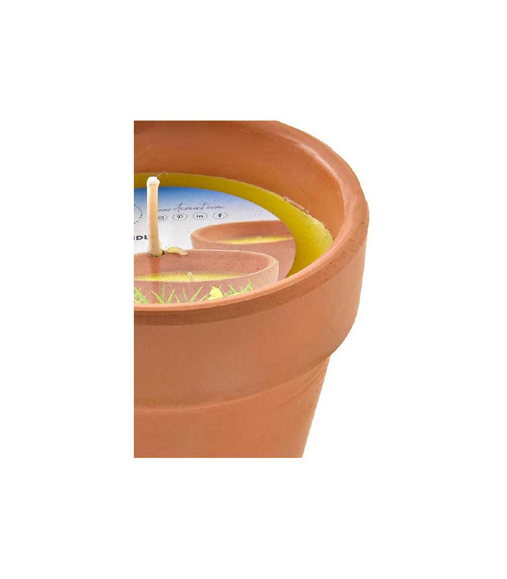 Wadiga Bougie Citronnelle Avec Pot En Terre Cuite - 8x8x8cm