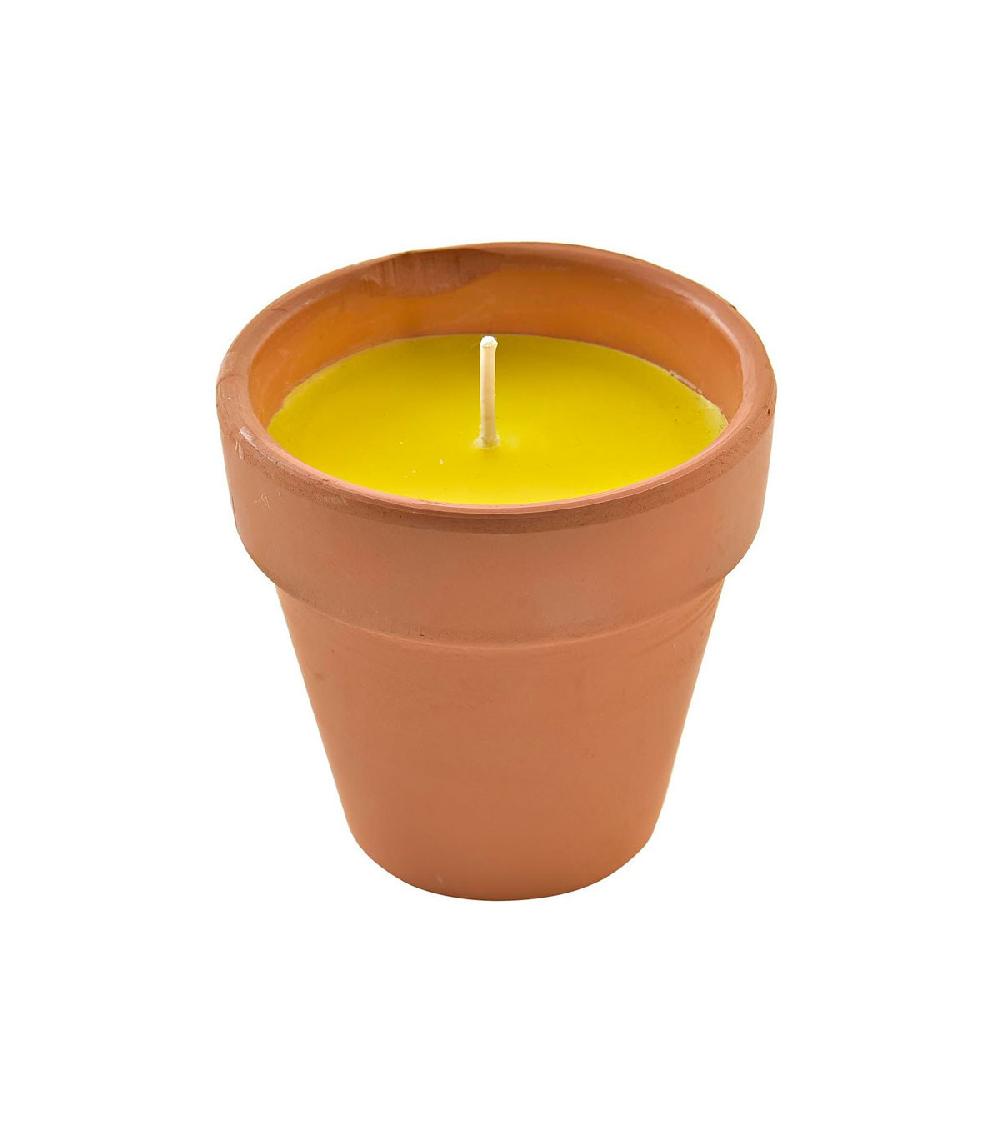 wadiga Bougie citronnelle avec pot en terre cuite - 8x8x8cm