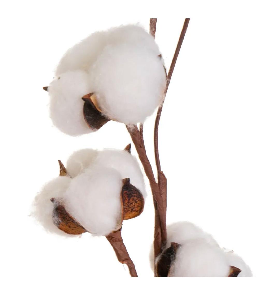 Wadiga Branche De Coton Naturelle Décorative 10x10x55cm