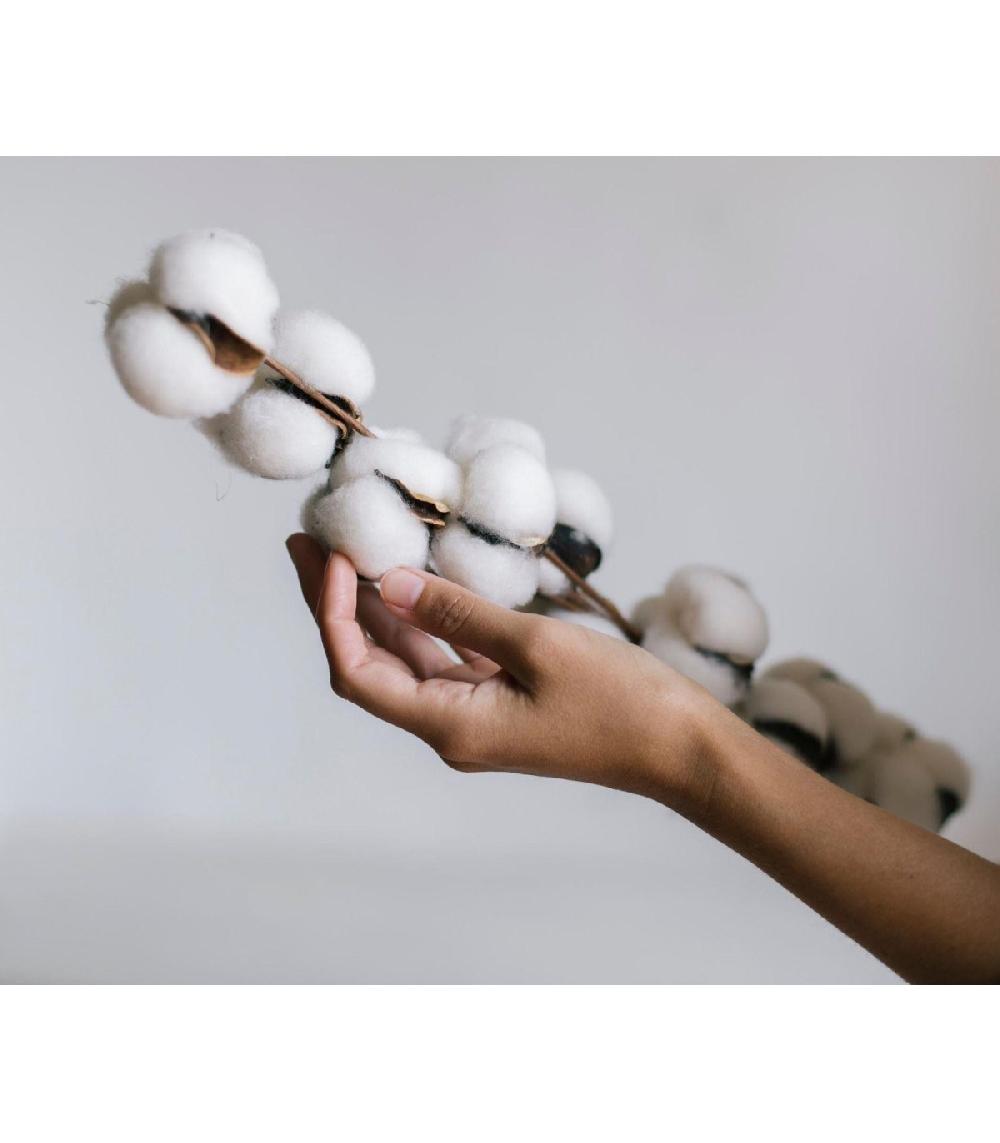 Wadiga Branche De Coton Sèche Naturelle Décorative - 70cm