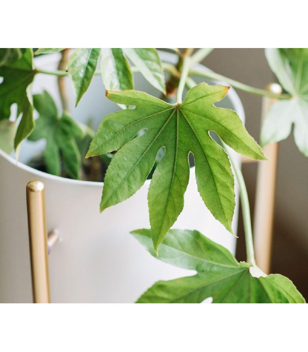Wadiga Cache-pot Sur Pied En Métal Doré Et Pot Blanc - Hauteur 66cm