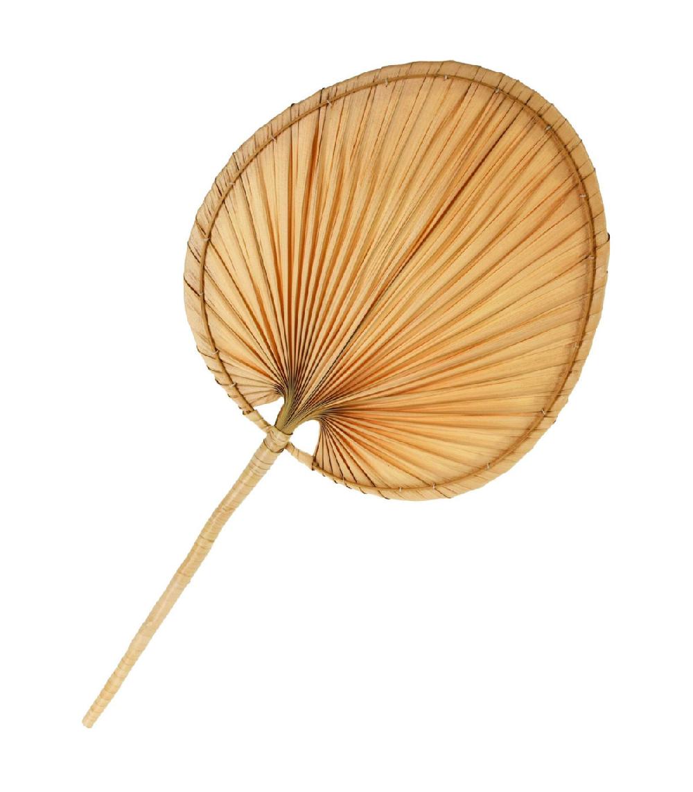 wadiga Éventail décoratif en feuilles de palmiers séchées 40x82cm