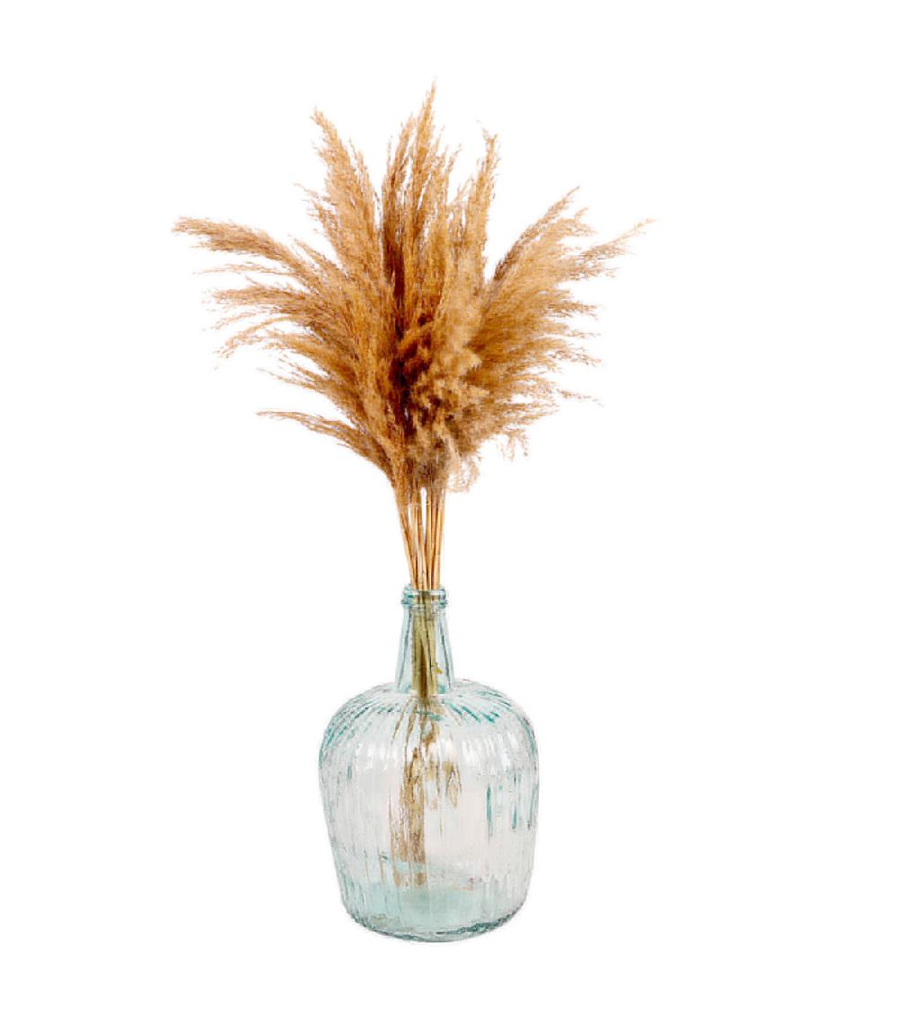 Wadiga Fleur Séchée De Pampa Naturelle 10 Branches - 65 à 75cm