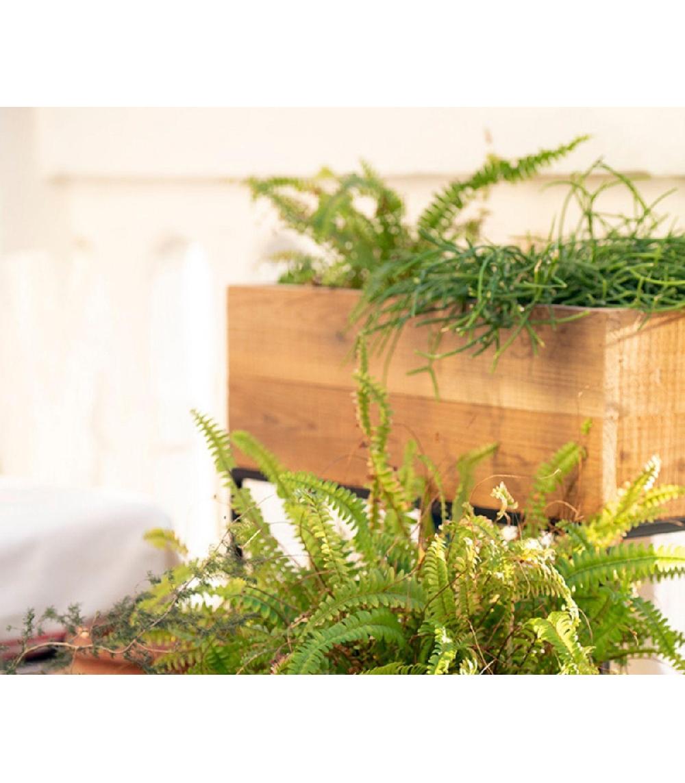 Wadiga Jardinière Sur Pied En Métal Noir Et Bois Recyclé - 55x21x60.5cm