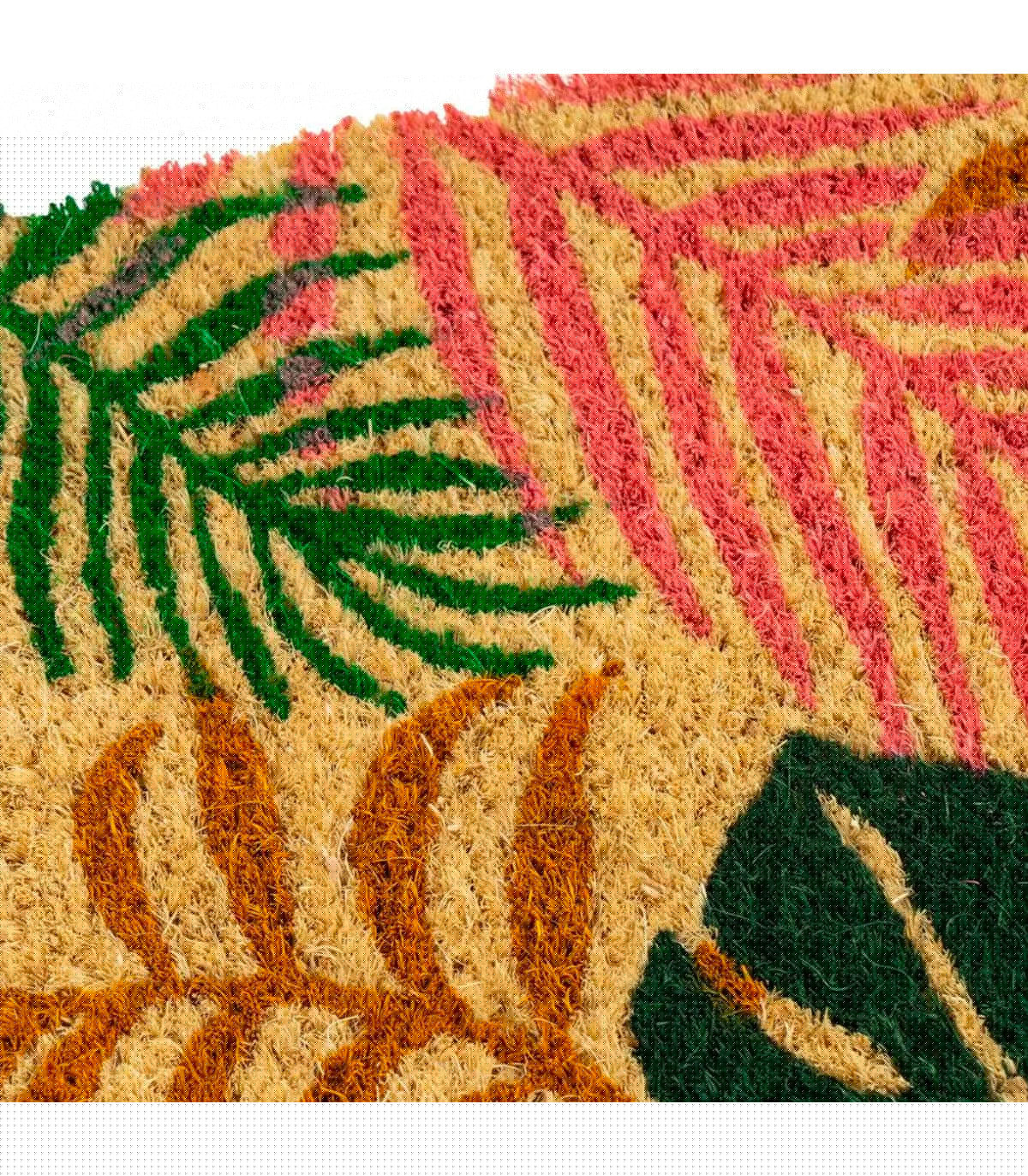 Wadiga Paillasson Coco Feuillage Multicolore 60x40x1.5cm