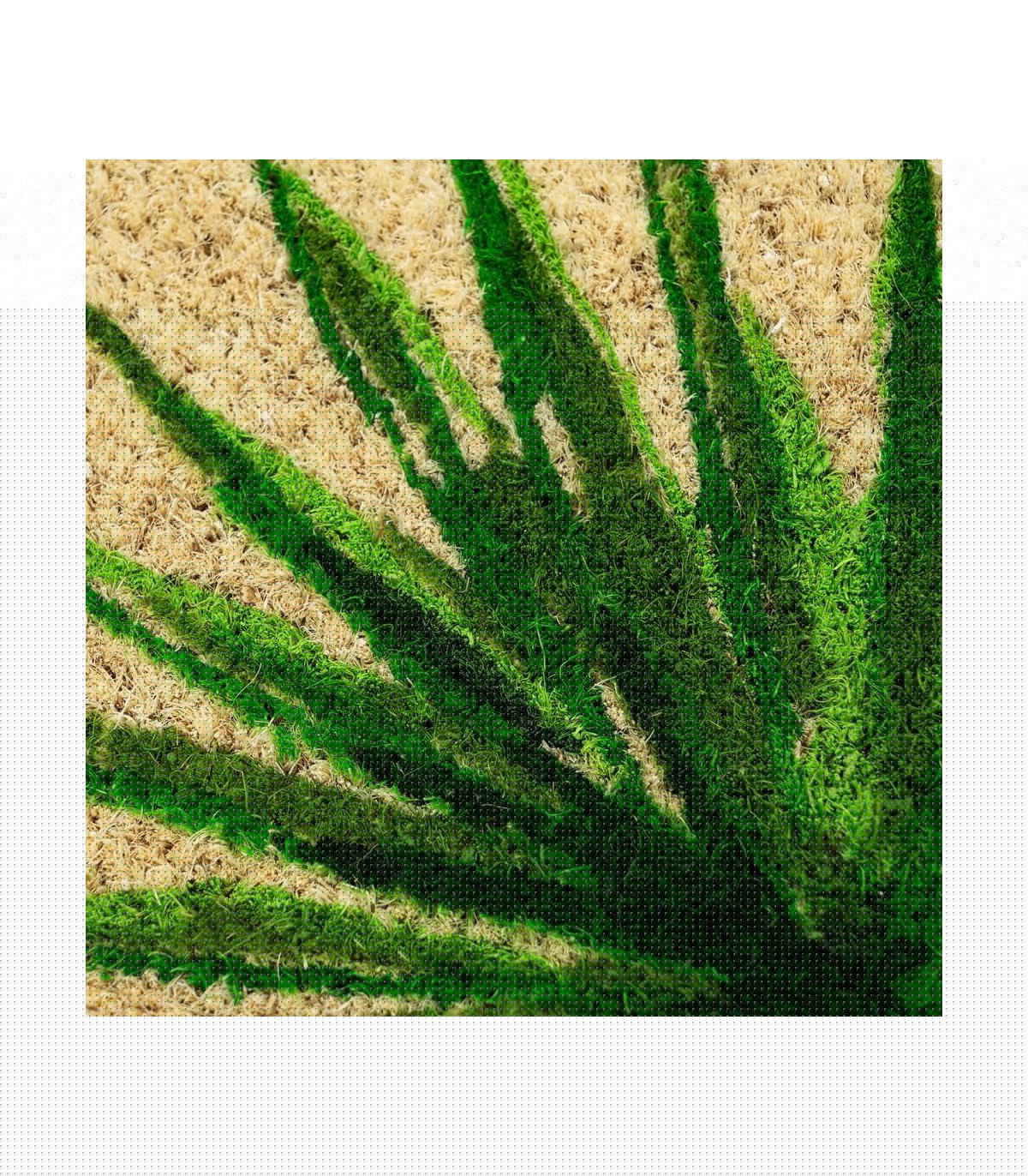Wadiga Paillasson Coco Feuillage Welcome - 60x40x1.5cm