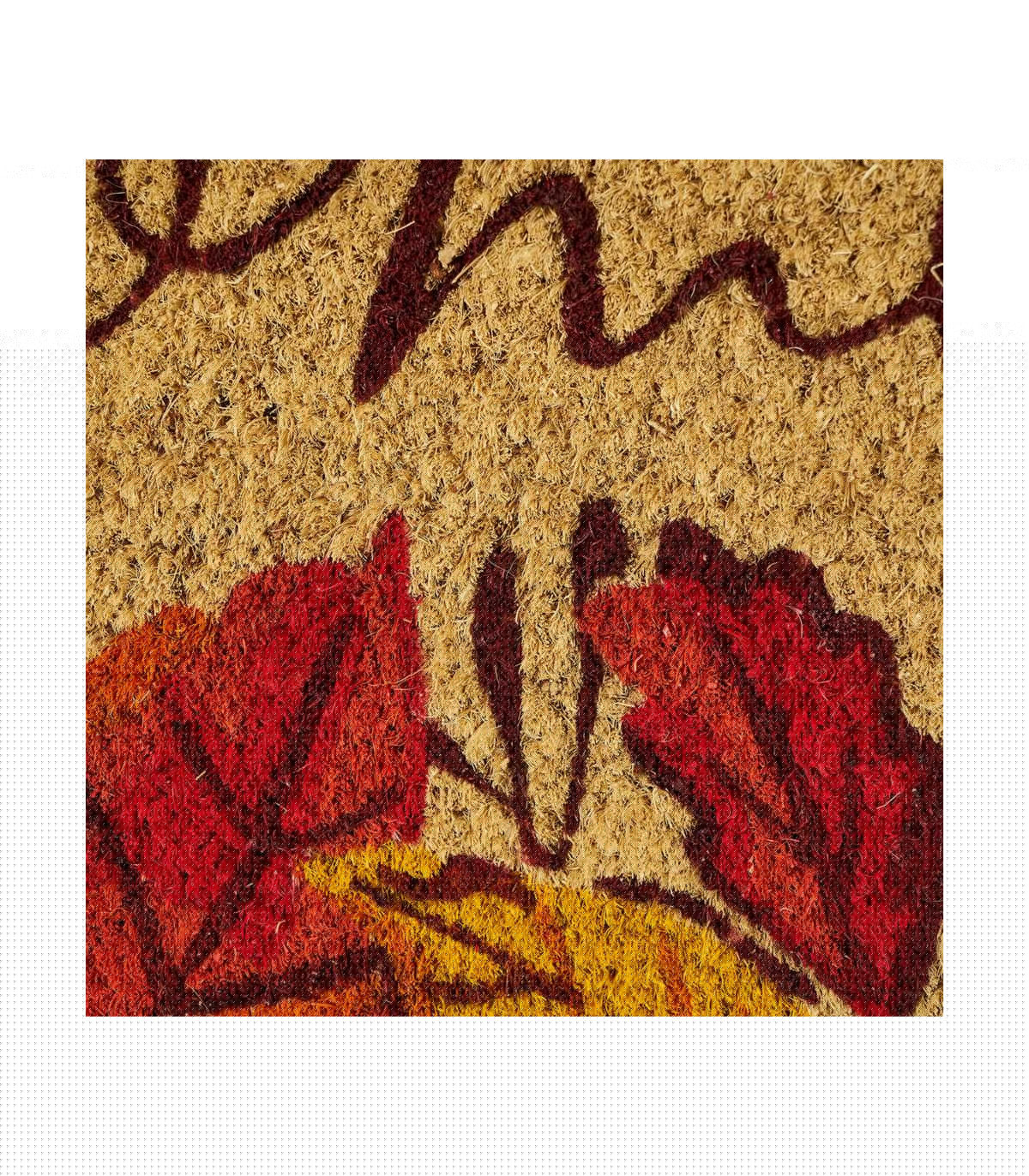 Wadiga Paillasson Coco Feuilles Welcome - 60x40x1.5cm