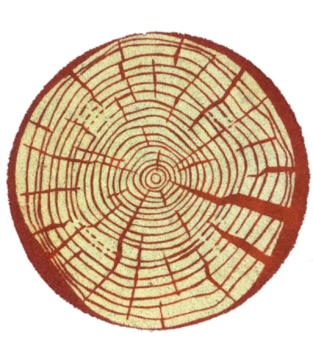 wadiga Paillasson en coco rond rondin - diamètre 70cm