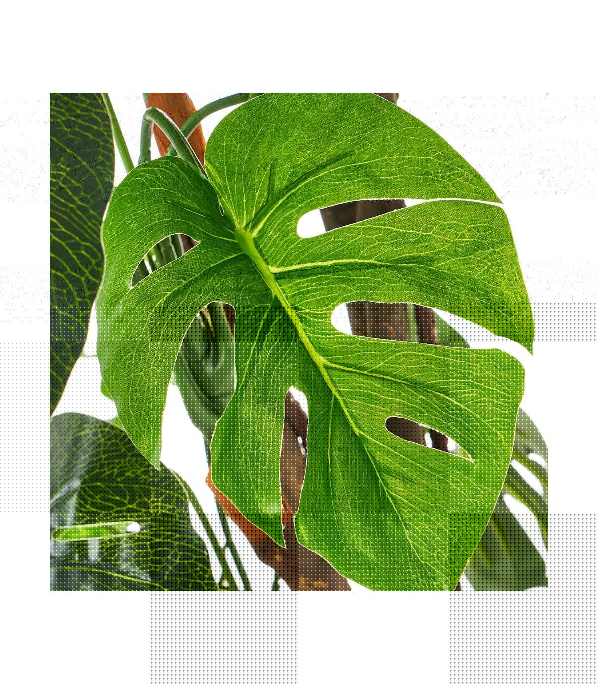 Wadiga Plante Artificielle D'Intérieur Monstera - 170cm