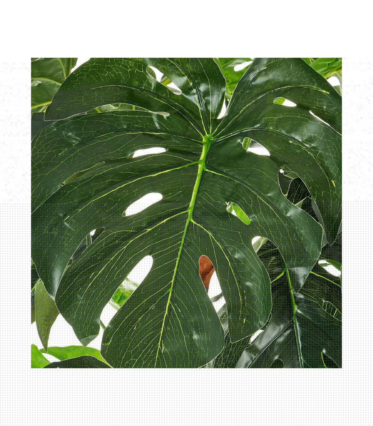 Wadiga Plante Artificielle D'Intérieur Monstera - 170cm