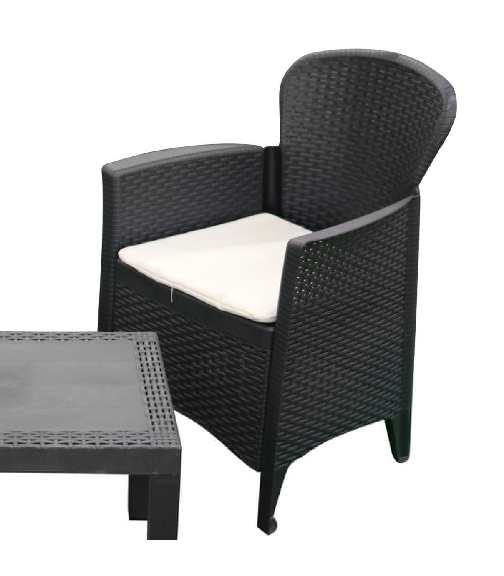 Wadiga Salon De Jardin 2 Fauteuils Avec Coussins Et 1 Table Basse