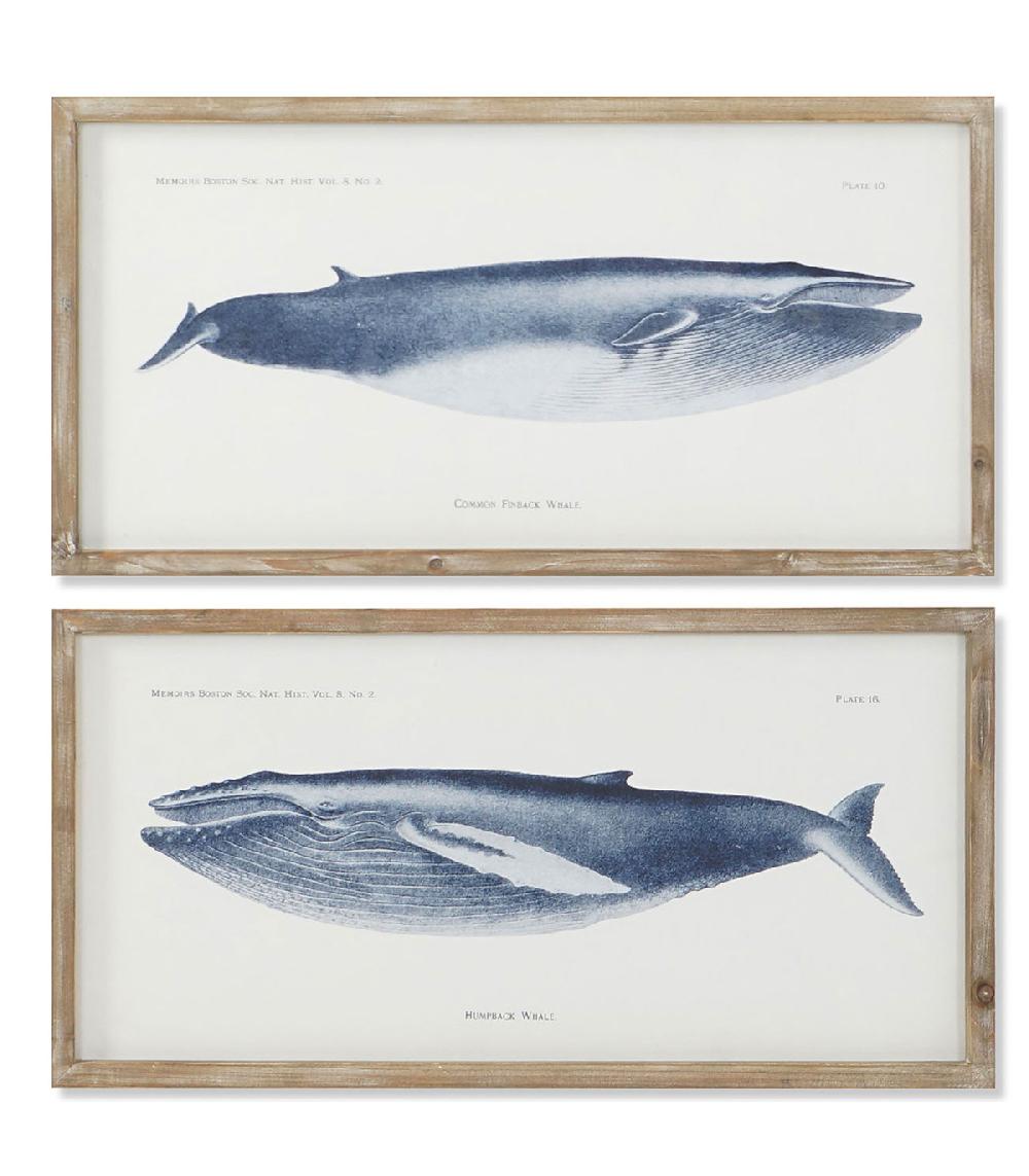 wadiga Set de 2 cadres décoratifs baleines 70x2.5x35cm