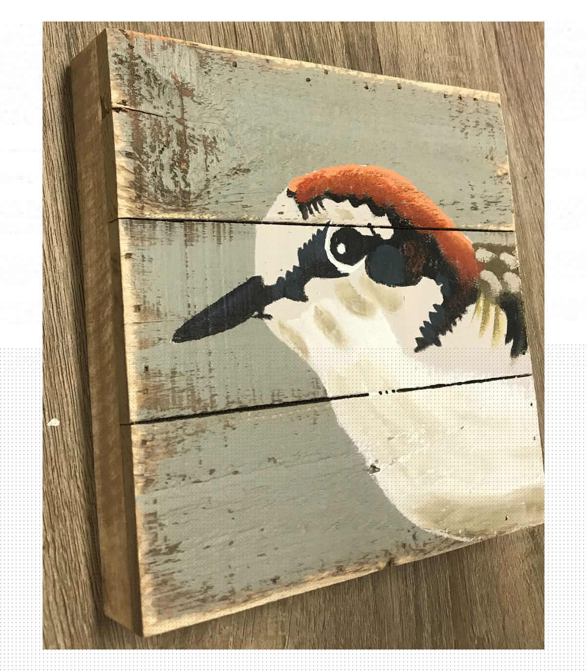 Wadiga Set De 2 Peintures Sur Panneaux Bois Oiseaux - 20x20cm