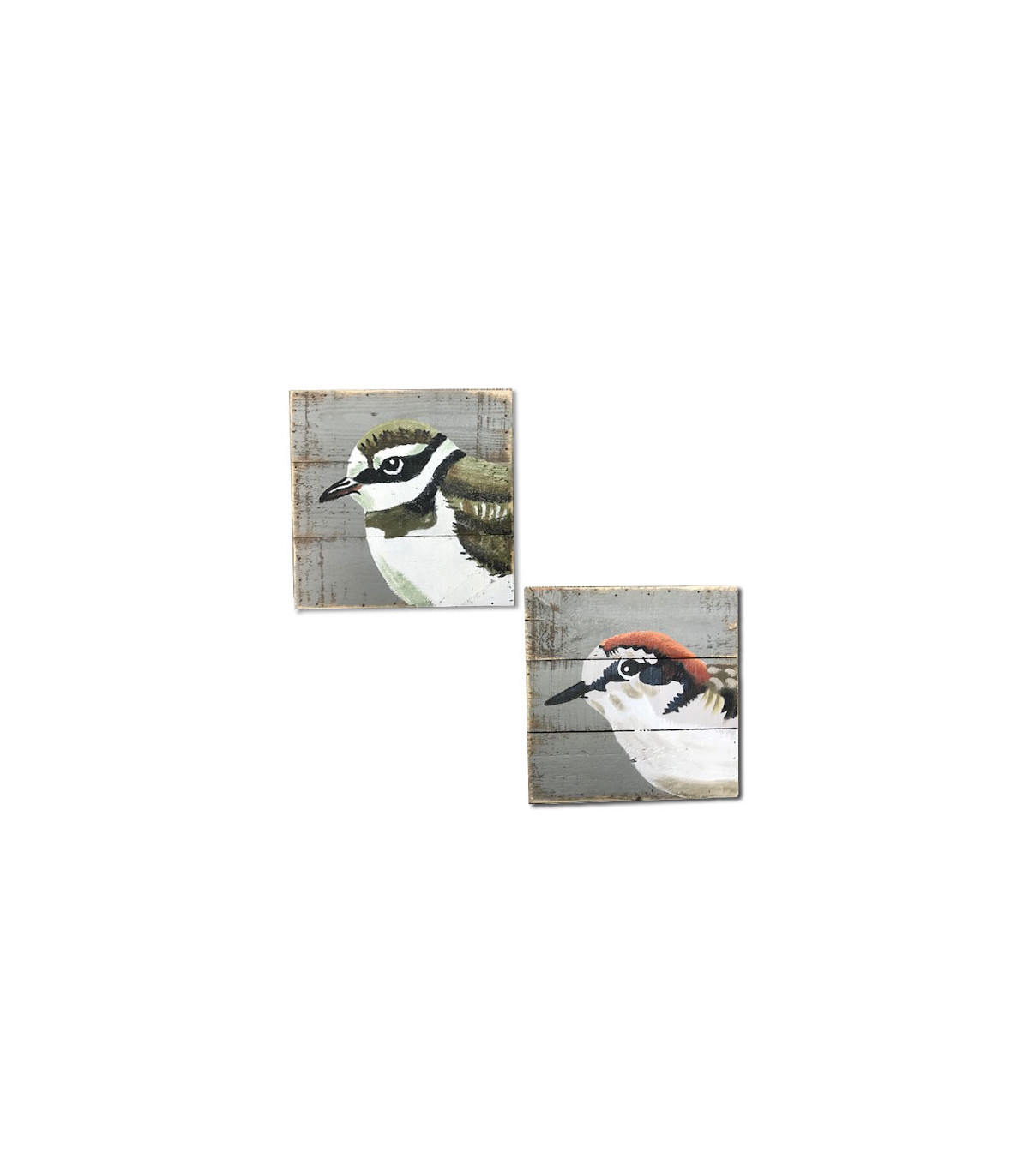wadiga Set de 2 Peintures sur Panneaux Bois Oiseaux - 20x20cm