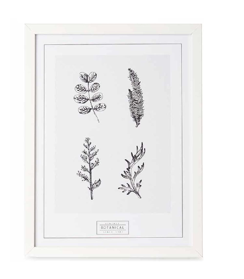 Wadiga Set De 2 Tableaux Décoratifs Noir Et Blanc Botanique