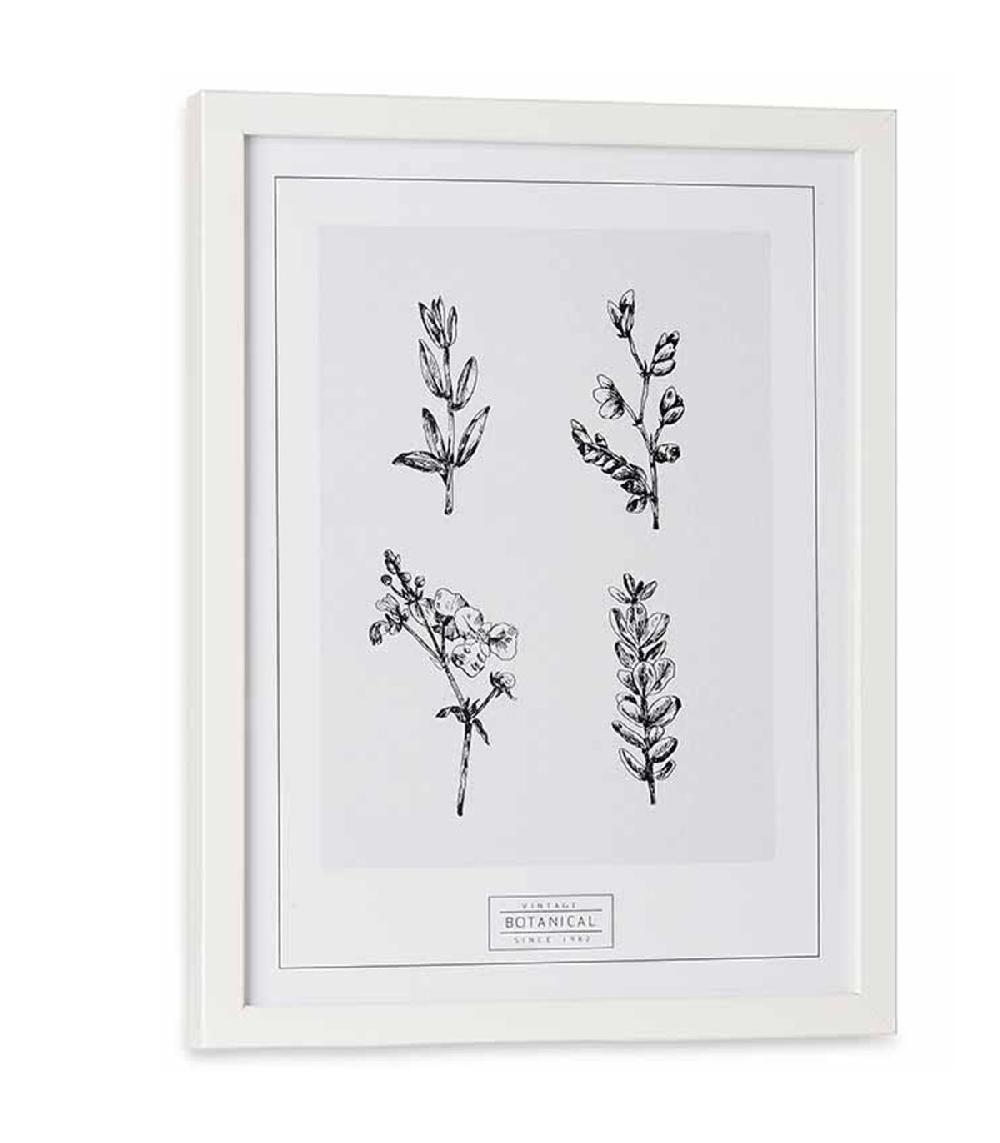 Wadiga Set De 2 Tableaux Décoratifs Noir Et Blanc Botanique
